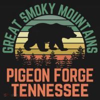 Pigeon Forge Great Smoky Mountains National Park Tennessee Gift Women's Hoodie thumb 2