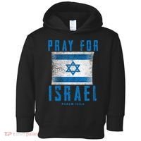 Pray for Israel Psalm 122 6 Israel Flag Toddler Hoodie thumb 0
