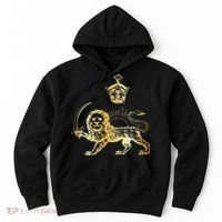 Persian Flag Iranian Lion Sun And Crown Iran Persia Hoodie thumb 0