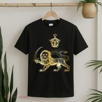 Persian Flag Iranian Lion Sun And Crown Iran Persia T-Shirt thumb 2
