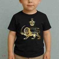 Persian Flag Iranian Lion Sun And Crown Iran Persia Toddler T-Shirt thumb 2