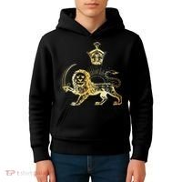 Persian Flag Iranian Lion Sun And Crown Iran Persia Kids Hoodie thumb 4