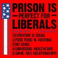 Prison For Liberals Santa Hat thumb 1