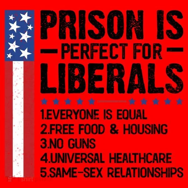 Prison For Liberals Santa Hat
