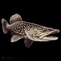 Pike Fish Monchrome Women's T-Shirt thumb 6