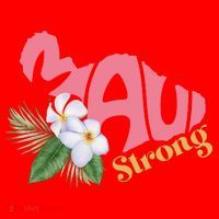 Pray For Maui Strong Hawaii Santa Hat thumb 1