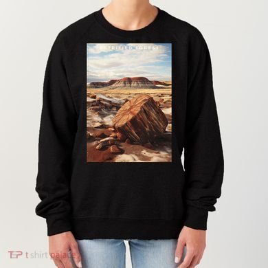 Petrified Forest National Park Women's Sweatshirt