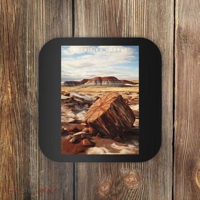 Petrified Forest National Park Coaster