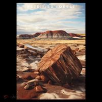 Petrified Forest National Park Tote Bag thumb 4