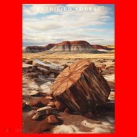 Petrified Forest National Park Santa Hat thumb 1