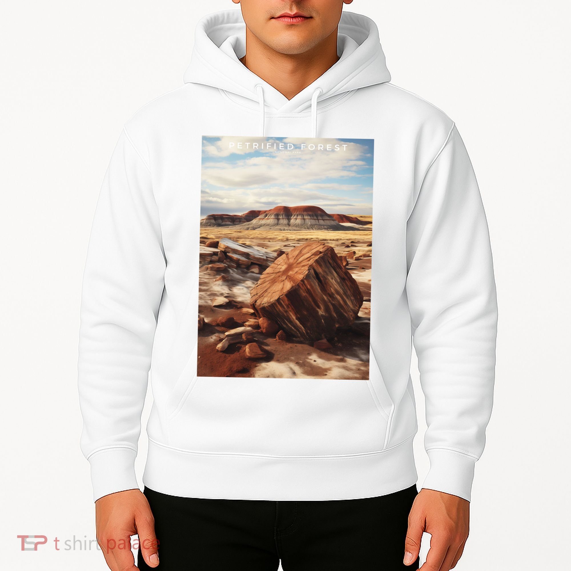 Petrified Forest National Park Hoodie