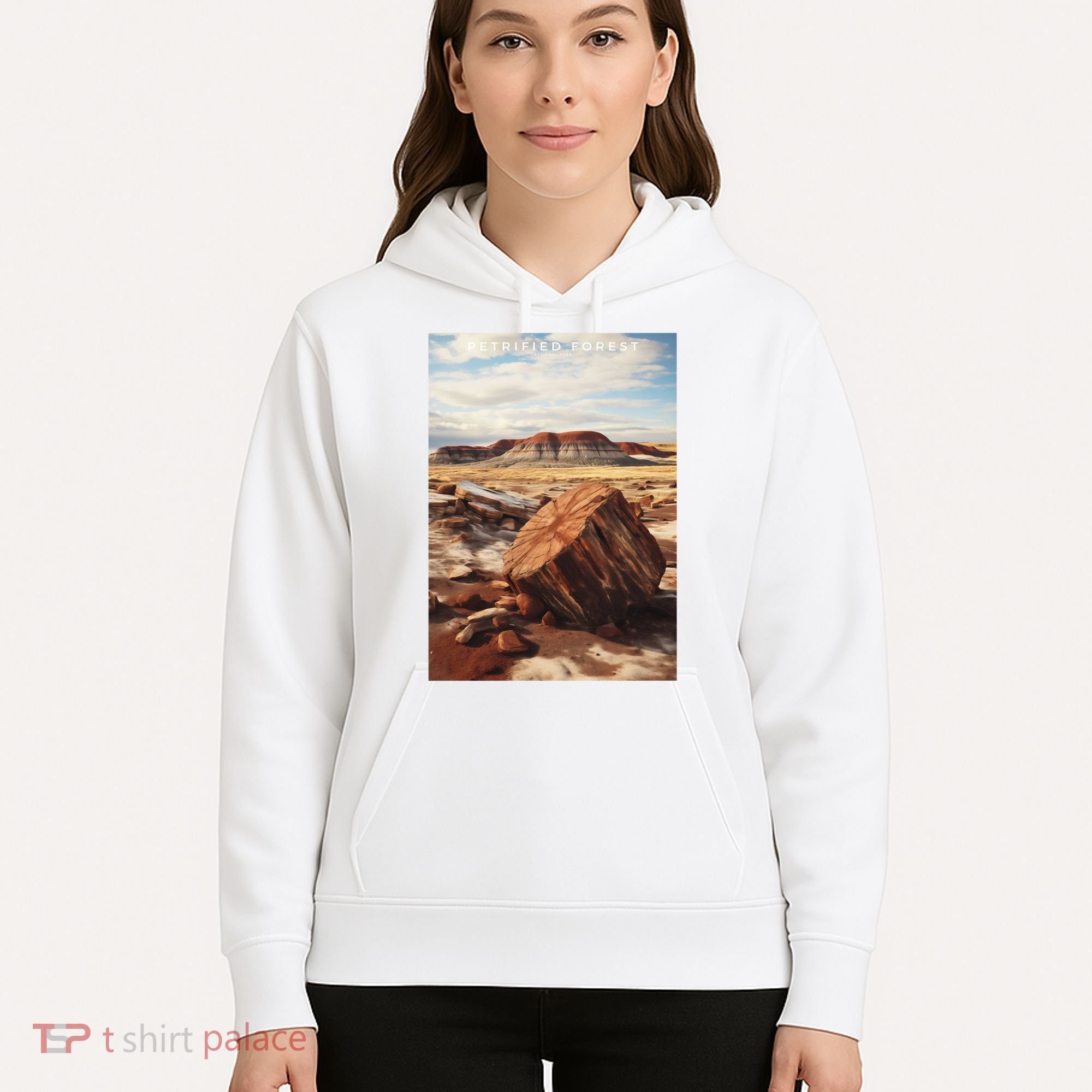 Petrified Forest National Park Hoodie