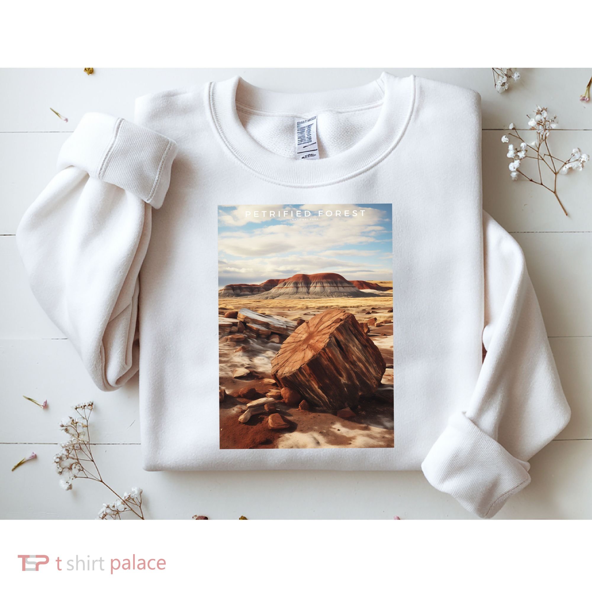 Petrified Forest National Park Sweatshirt