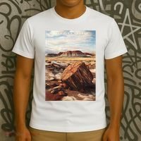 Petrified Forest National Park T-Shirt thumb 3