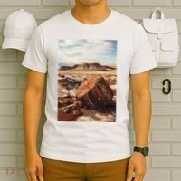 Petrified Forest National Park T-Shirt thumb 6