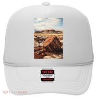Petrified Forest National Park Hat thumb 0