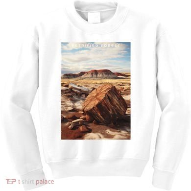 Petrified Forest National Park Kids Sweatshirt