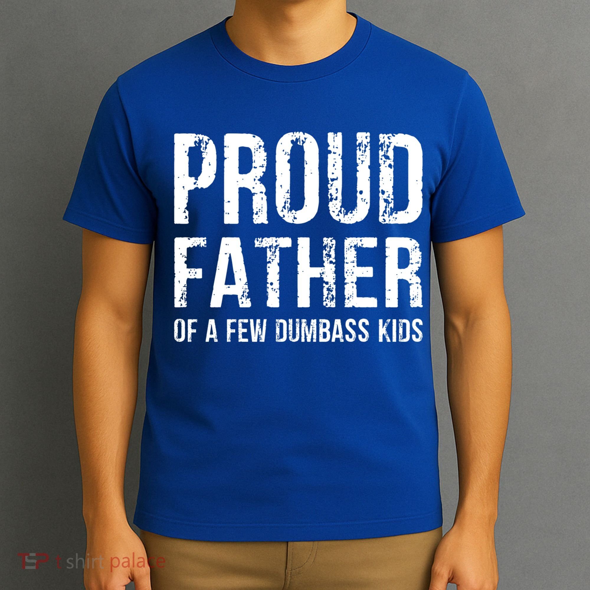 Proud Father Of A Few Dumbass Meaningful Gift T-Shirt
