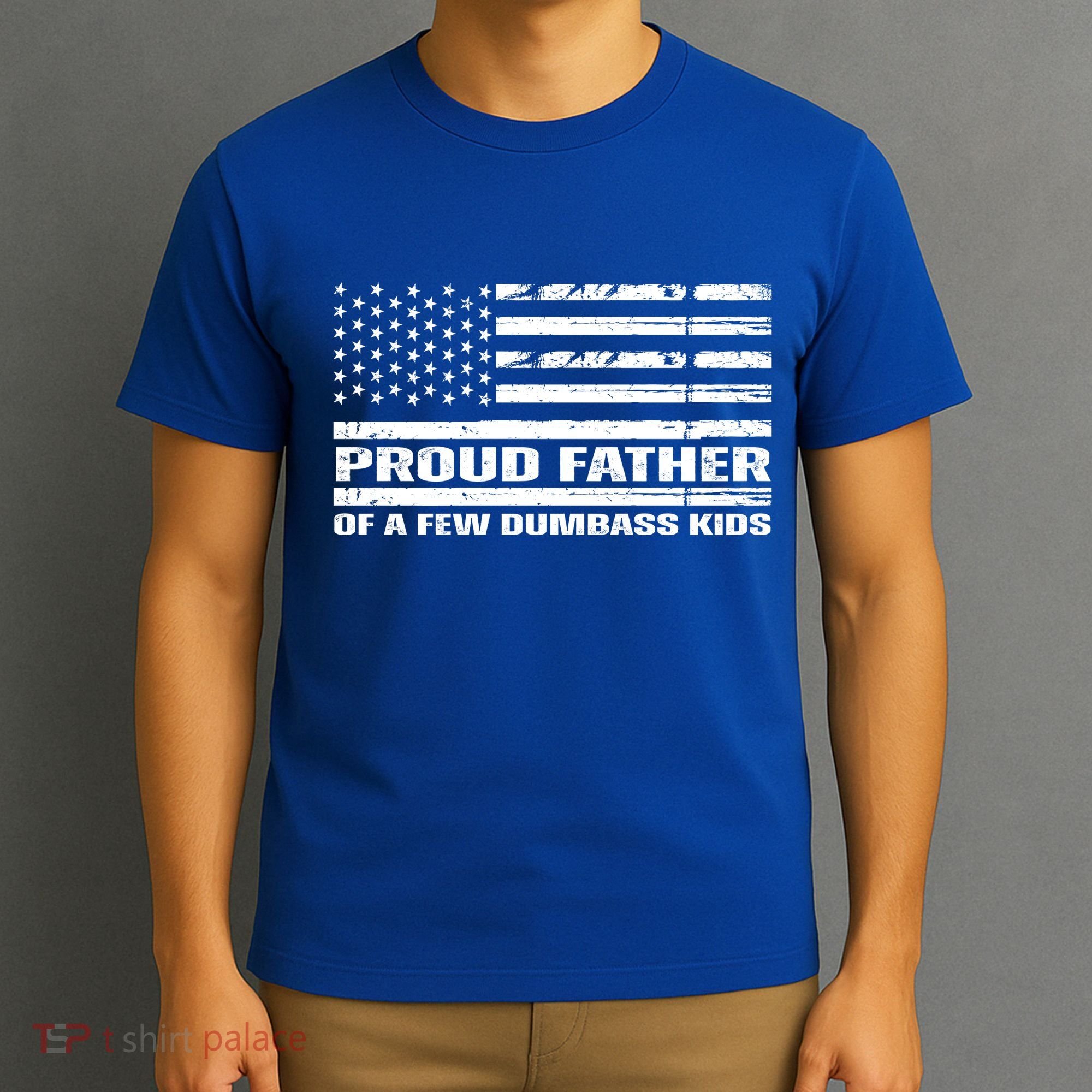 Proud Father Of A Few Dumbass Kids Usa Flag Funny Fathers Day T-Shirt
