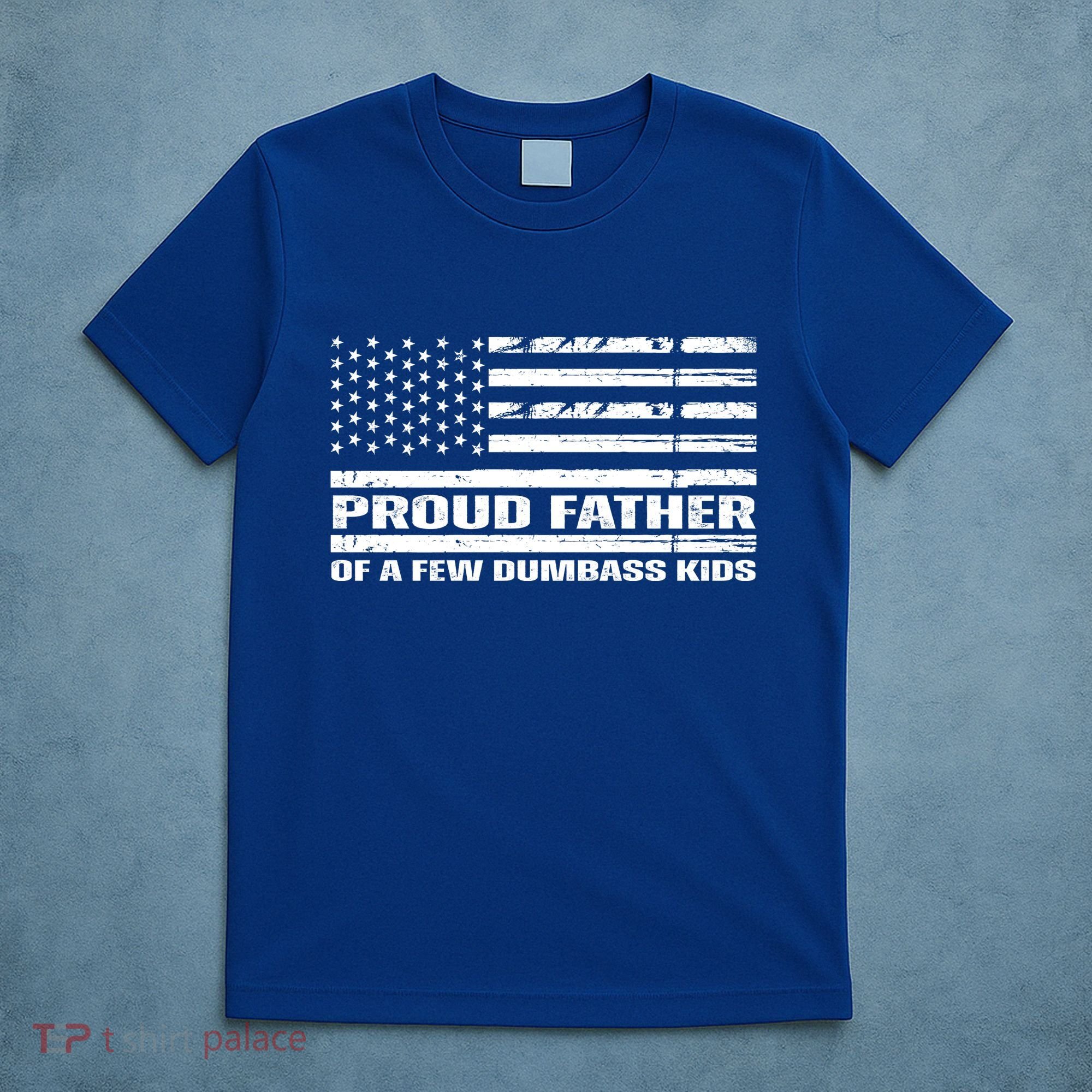 Proud Father Of A Few Dumbass Kids Usa Flag Funny Fathers Day T-Shirt