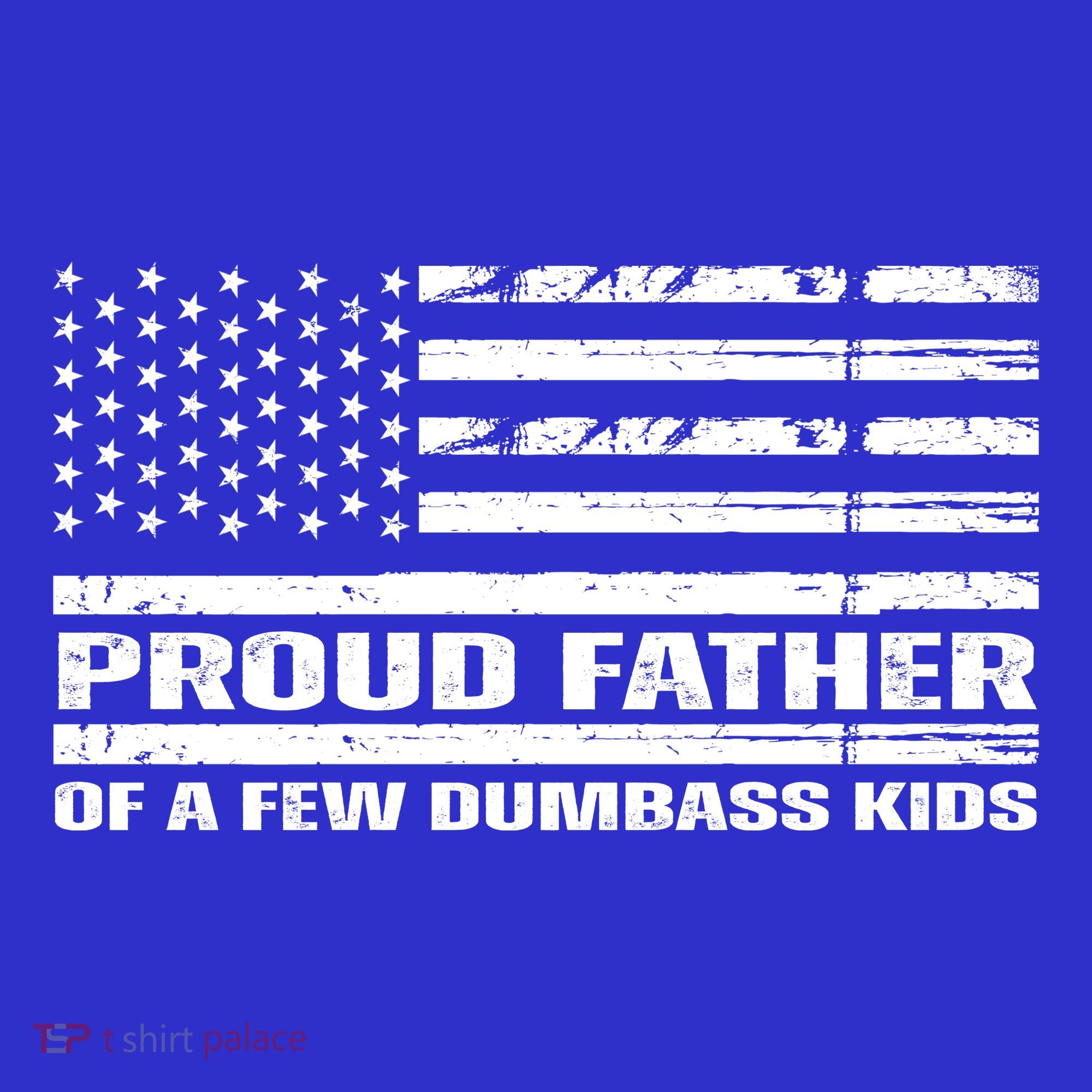 Proud Father Of A Few Dumbass Kids Usa Flag Funny Fathers Day T-Shirt