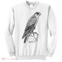 Peregrine Falcon Ornithology Falconer Bird Lover Sweatshirt thumb 0