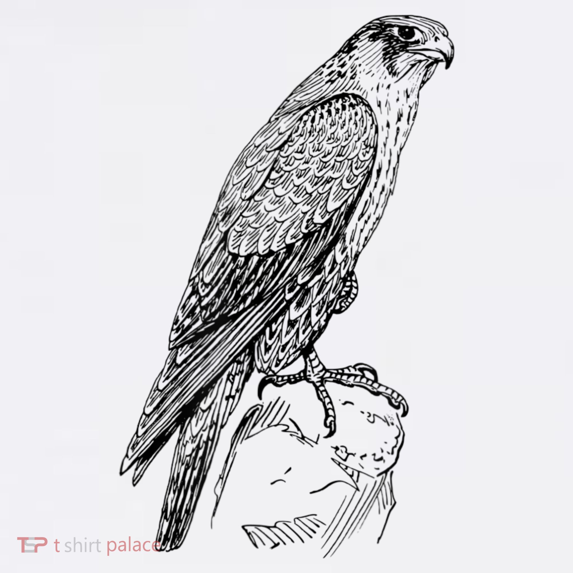 Peregrine Falcon Ornithology Falconer Bird Lover T-Shirt