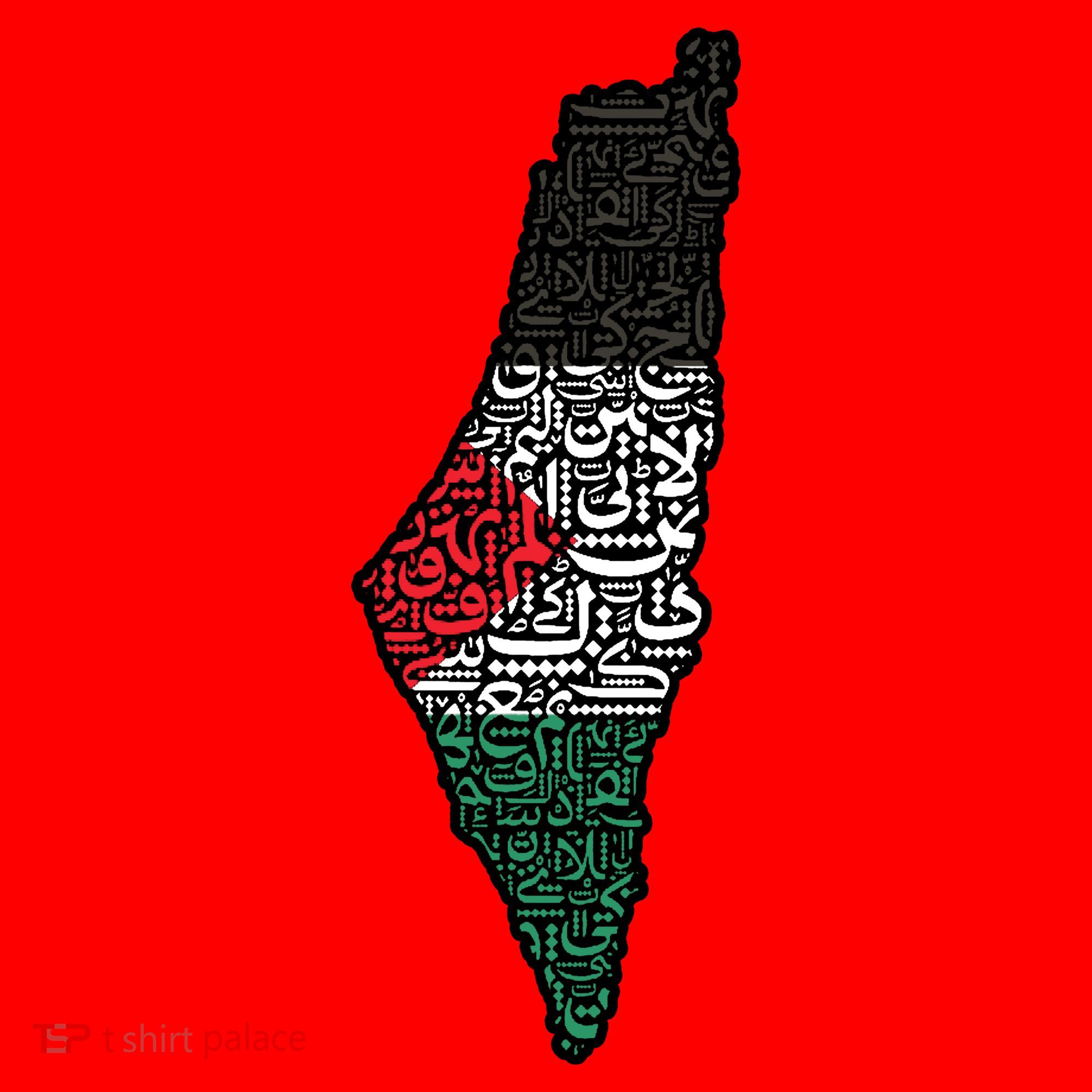 Palestine Flag Palestinian Santa Hat