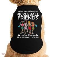 Pickleball Friends Paddleboards Really A Small Gang Enjoying Doggie Tank thumb 0