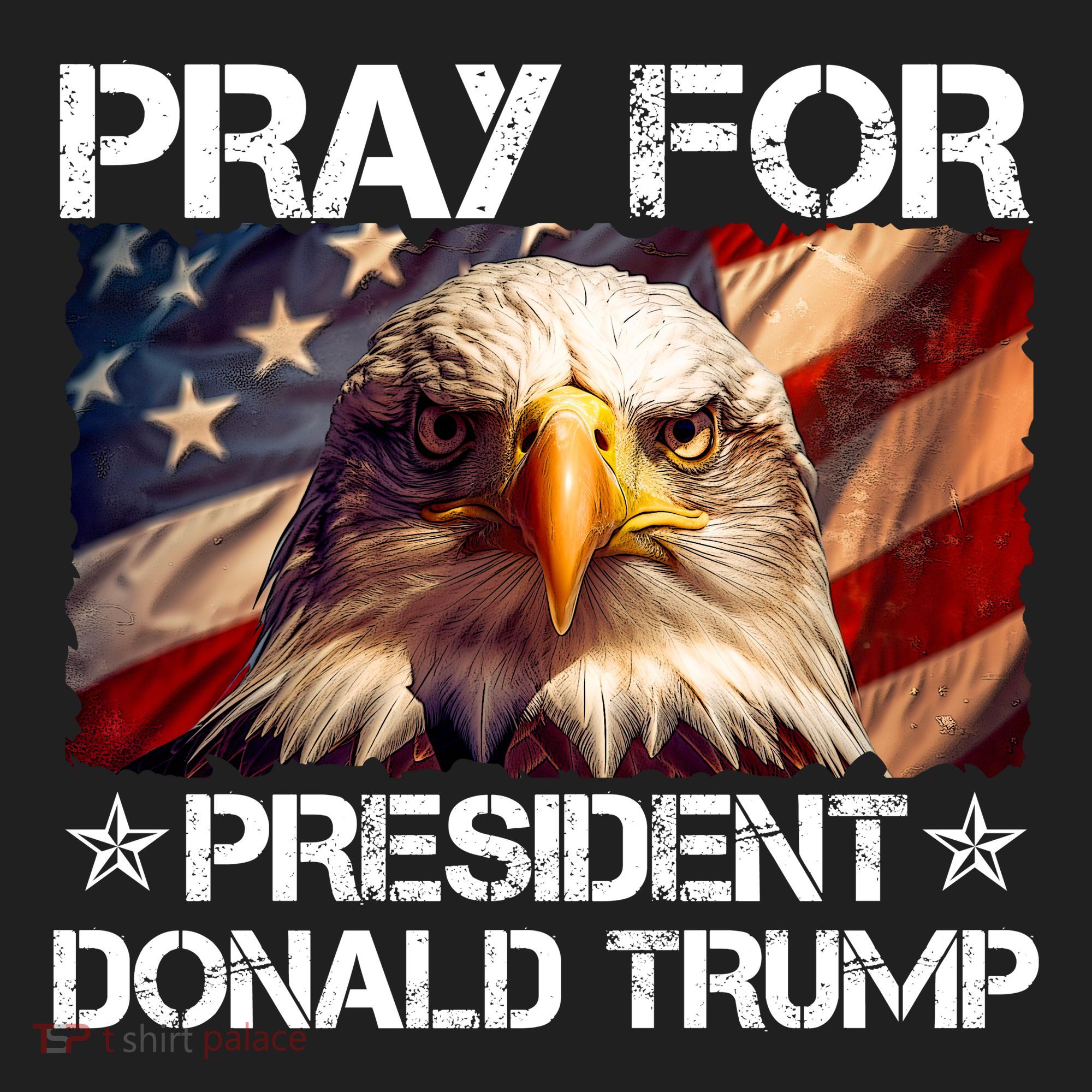Pray For President Donald Trump American Flag Eagle Hat