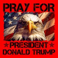 Pray For President Donald Trump American Flag Eagle Santa Hat thumb 1