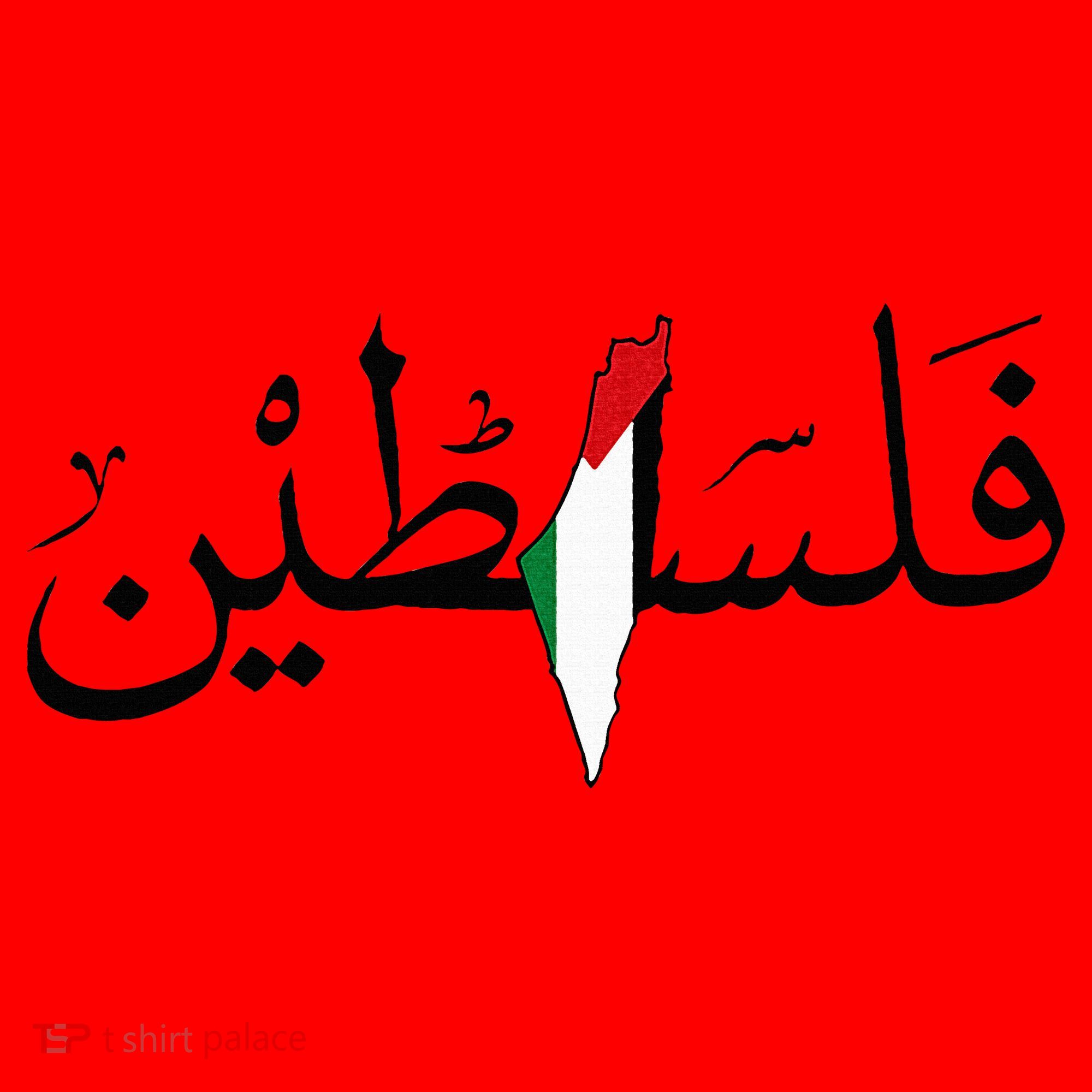 Palestine Free Palestine in Arabic Free Gaza Palestine Map Santa Hat