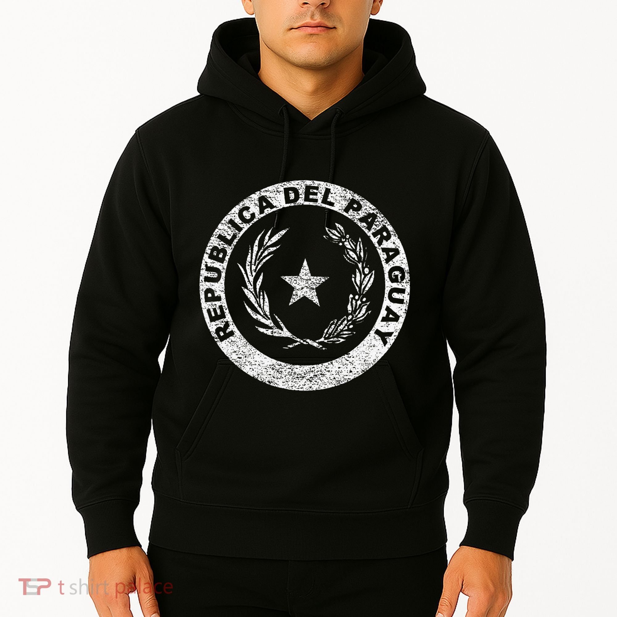 Paraguay Flag Paraguayan Seal Asuncion Hoodie