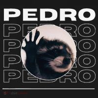 Pedro Funny Raccoon Dancing Meme Ornament thumb 1