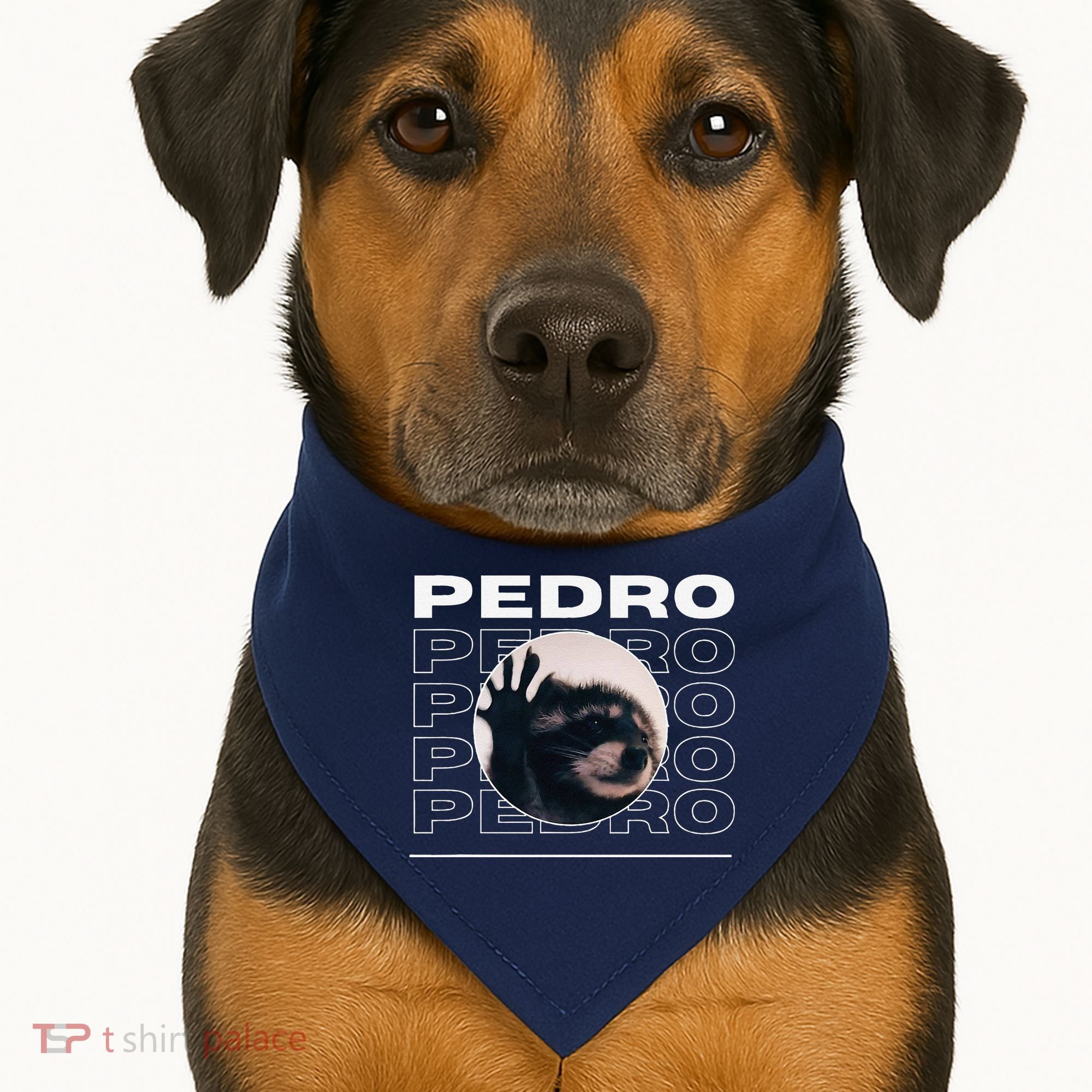 Pedro Funny Raccoon Dancing Meme USA-Made Doggie Bandana