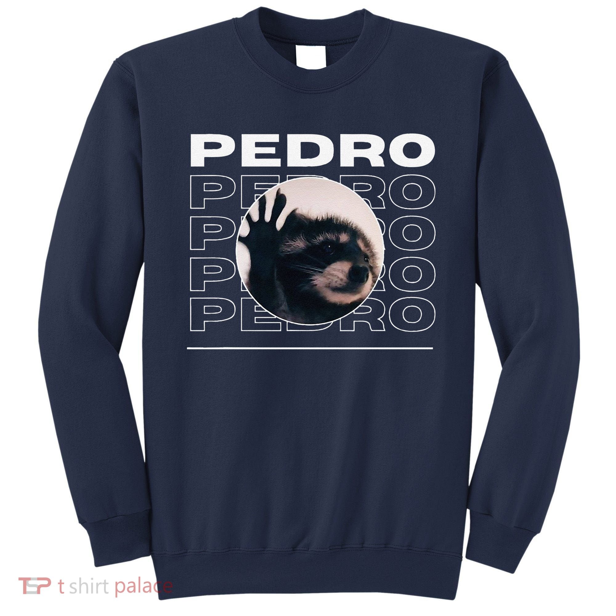 Pedro Funny Raccoon Dancing Meme Sweatshirt