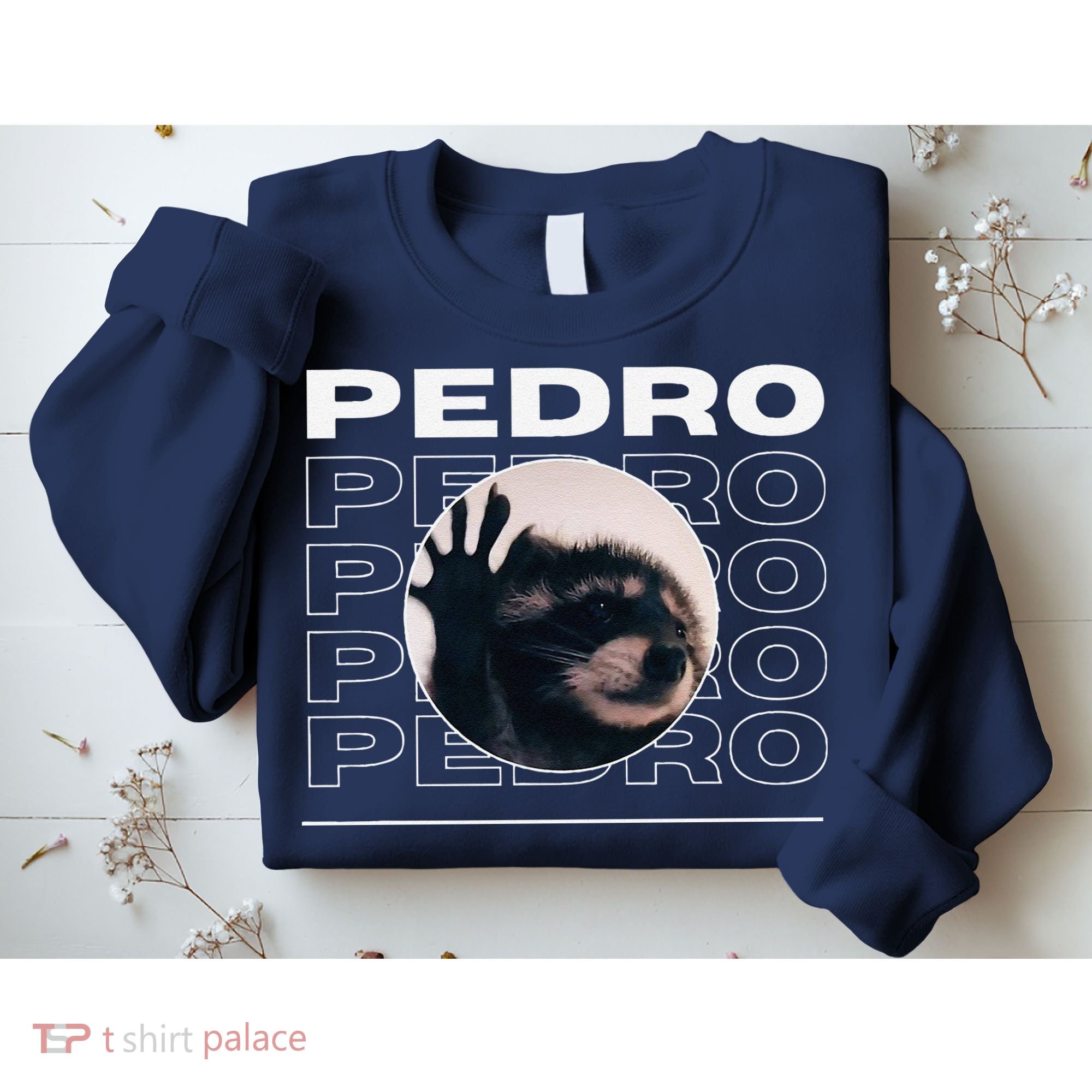 Pedro Funny Raccoon Dancing Meme Sweatshirt