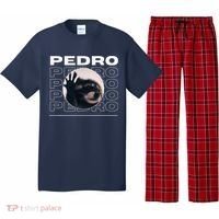 Pedro Funny Raccoon Dancing Meme Pajama Set thumb 0