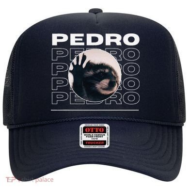 Pedro Funny Raccoon Dancing Meme Hat