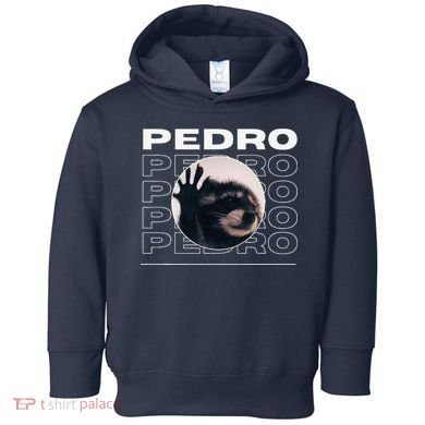 Pedro Funny Raccoon Dancing Meme Toddler Hoodie