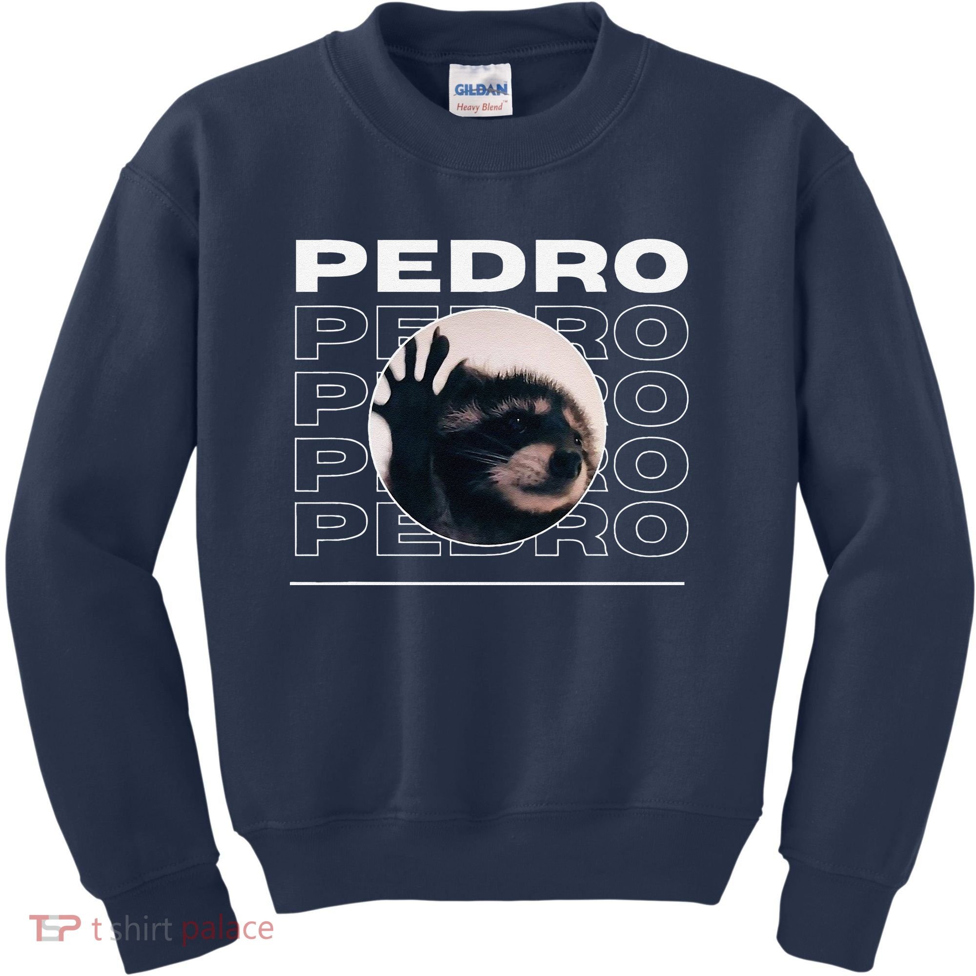 Pedro Funny Raccoon Dancing Meme Kids Sweatshirt