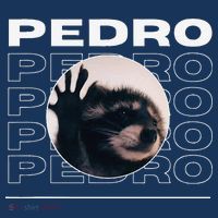 Pedro Funny Raccoon Dancing Meme Kids Hoodie thumb 5