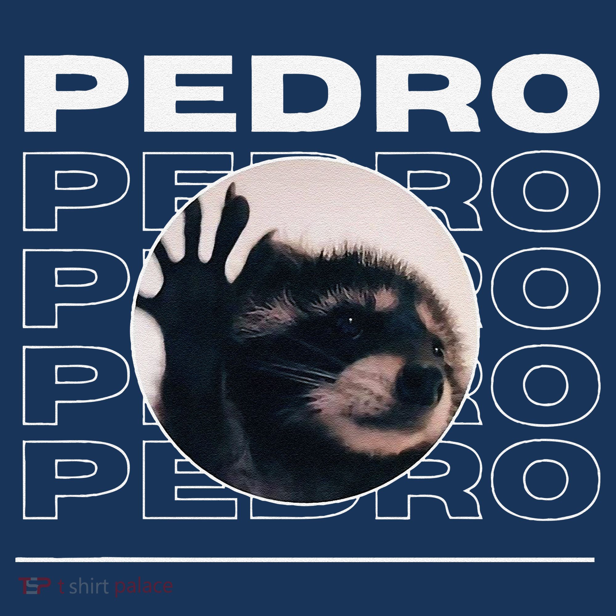Pedro Funny Raccoon Dancing Meme Kids T-Shirt