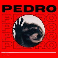 Pedro Funny Raccoon Dancing Meme Santa Hat thumb 1