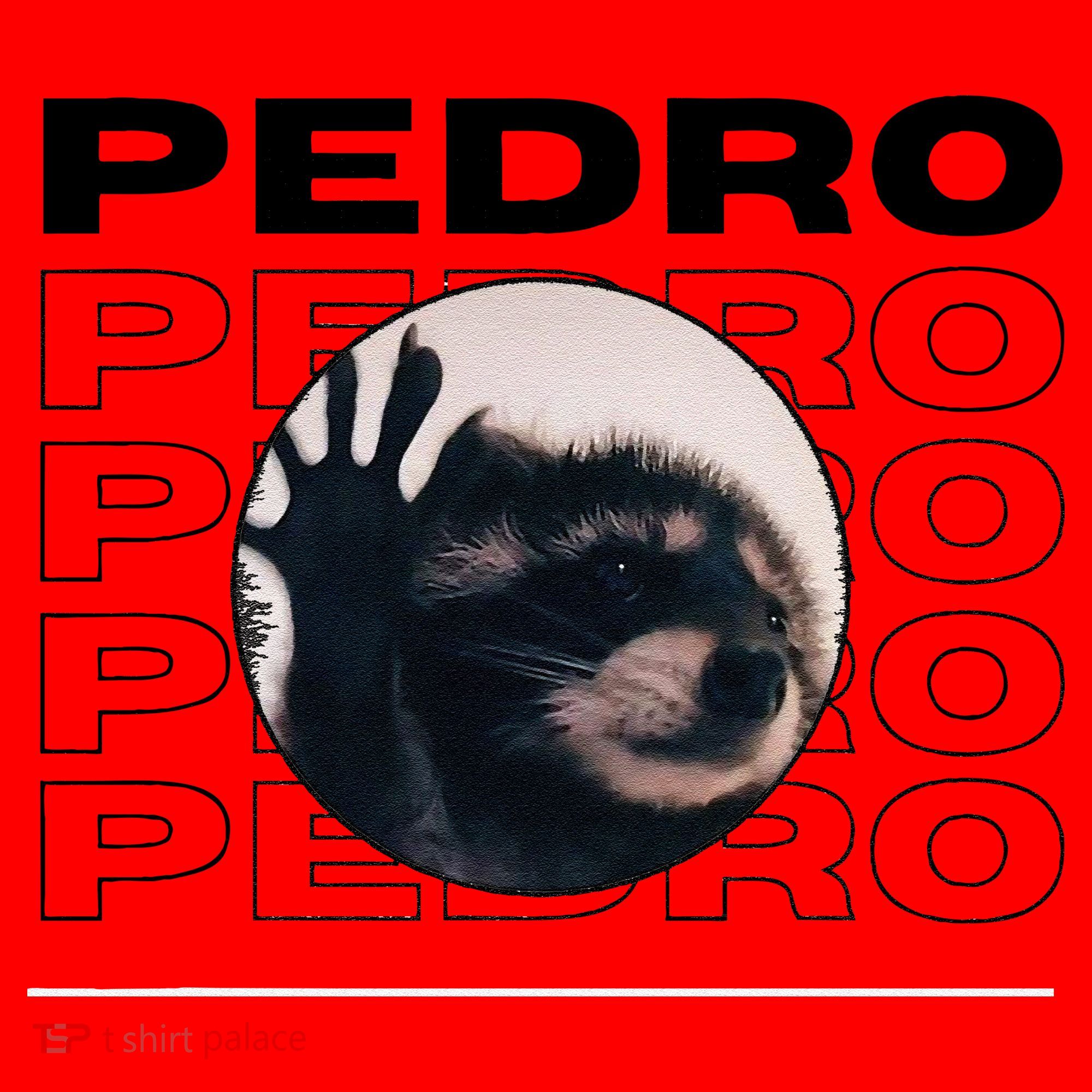 Pedro Funny Raccoon Dancing Meme Santa Hat
