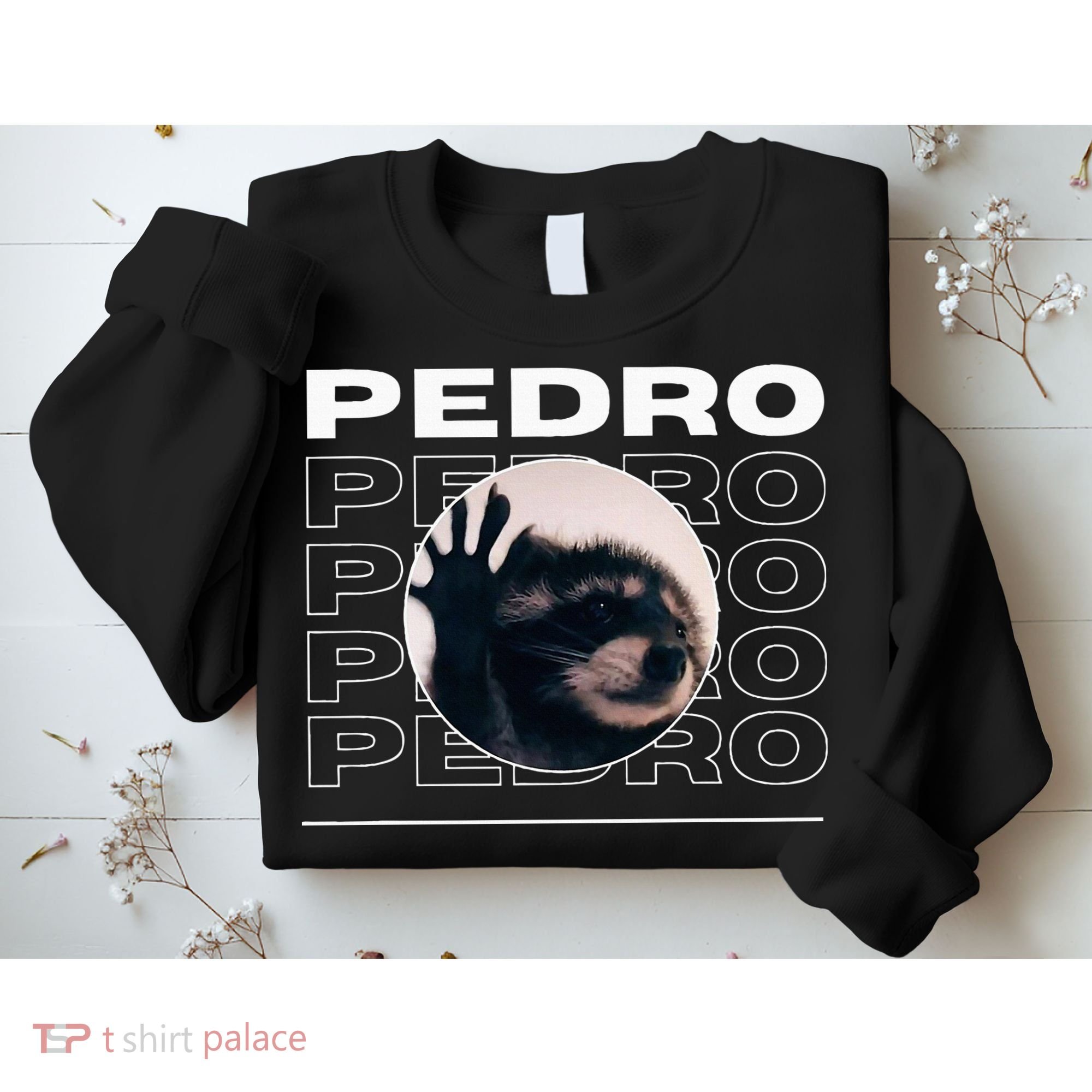 Pedro Funny Raccoon Dancing Meme Sweatshirt