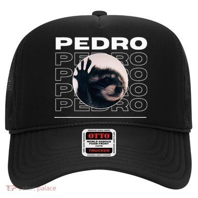 Pedro Funny Raccoon Dancing Meme Hat
