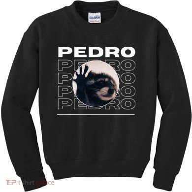 Pedro Funny Raccoon Dancing Meme Kids Sweatshirt