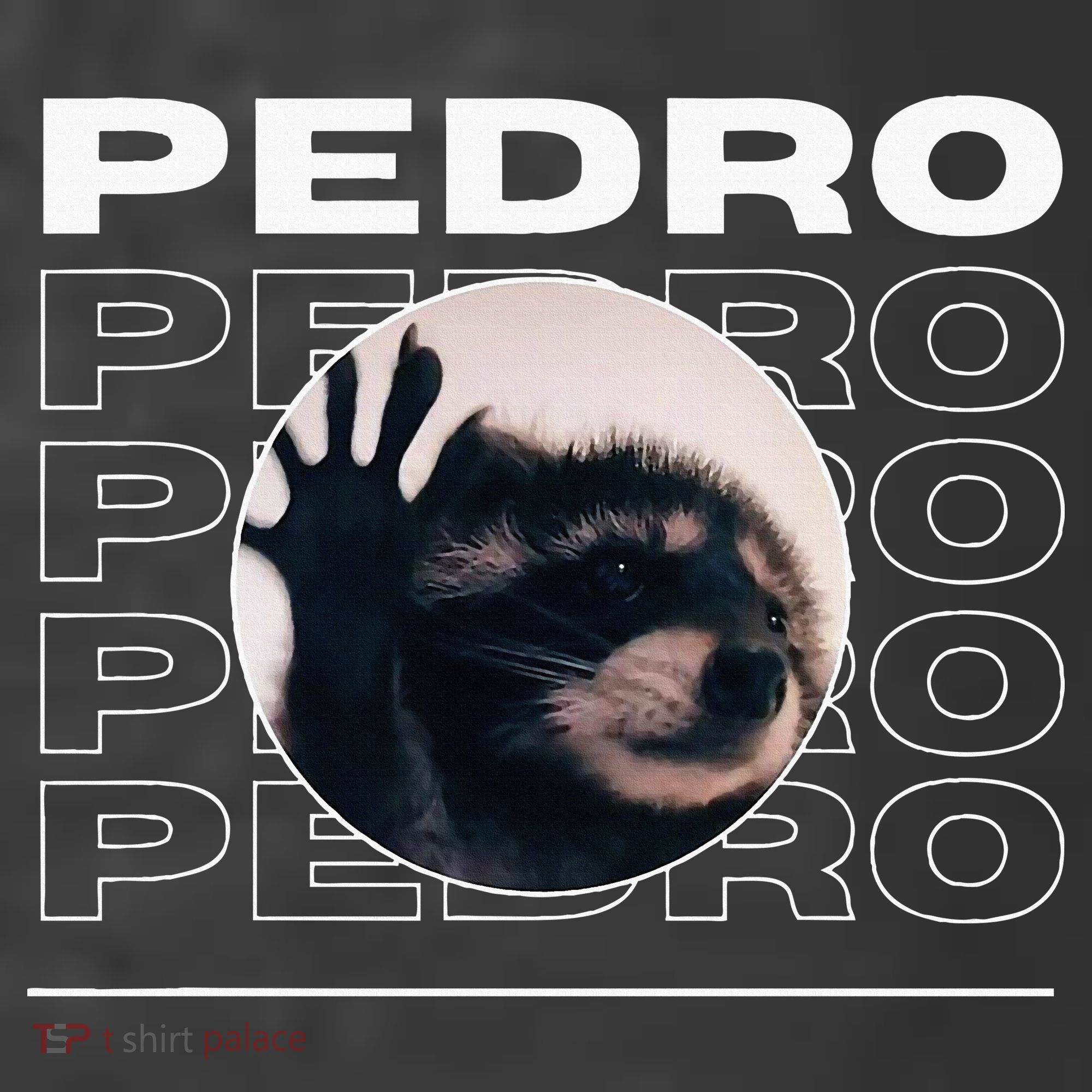 Pedro Funny Raccoon Dancing Meme T-Shirt