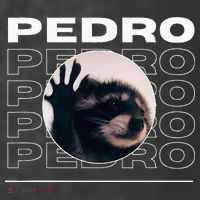 Pedro Funny Raccoon Dancing Meme Women's Hoodie thumb 2